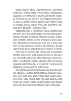 A10160F0018278_Ladislav-Krejci-Kapitan-z