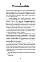 A10110F0016913_Stinadla-se-bouri-list1.j