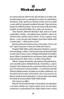 A10110F0016913_Stinadla-se-bouri-list4.j