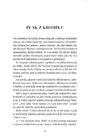 A101I0F0018017_kratke-pribehy-pro-velky-