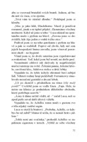A101X0F0015697_pohledny-dabel-list1.jpg