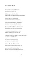 A101V0F0016606_Prustrely-na-nocnim-nebi-