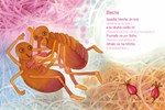 A10110F0001482_Spadla-blecha-list2.jpg
