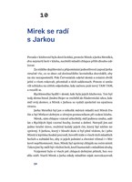 A10110F0009340_Zahada_hlavolamu_sberatel