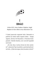 a101f0f0015967_hvezdy-fotbal-hriste-14-s