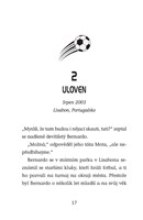 a101f0f0015967_hvezdy-fotbal-hriste-14-s