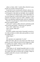 a101a0f0013732_ve_vysluzbe_5 - bezvyznam