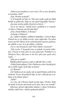 a101a0f0013732_ve_vysluzbe_5 - bezvyznam