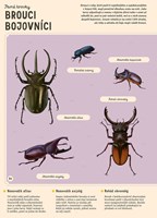 A101U0F0018220_encyklopedie-hmyzu-list3.