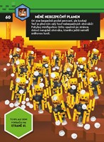 A101C0N0018770_LEGO_cesta_list4.jpg