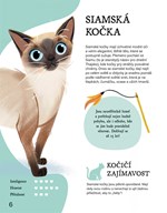 a101f0f0016988_mazlicek-snu-list1.jpg