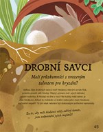 a101f0f0016988_mazlicek-snu-list3.jpg