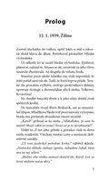 0105913539_9788027926947_rozbite-svety-l