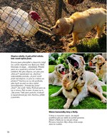A101C0N0018236_Denik-psa-Bressona_list2.