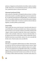 a101A0F0019056_kocky-a-jejich-magie-list