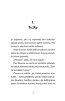 a101f0f0019132_tajemstvi-vanocniho-kramk