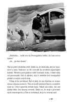 A10110F0019147_Unos-za-svitu-blesku-list