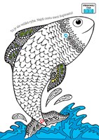a101c0n0019829_spletite-list03.jpg