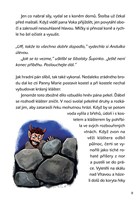 a101f0f0016467_povesti-z-ceskokrumlovska