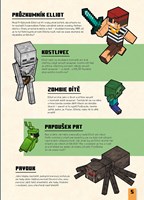 A101M0F0020178_minecraft-kde-je-kostlive