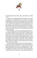 A10130F0018103_pulnocni-kramek-zazraku-l