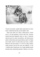 A101E0N0018161_Australsky-ovcak-Vanoce_l