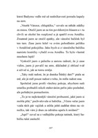 A101E0N0018161_Australsky-ovcak-Vanoce_l