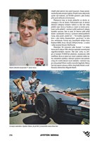 a101c0n0015254_rindt-vill-senna_list4.jp