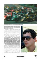 a101c0n0015254_rindt-vill-senna_list5.jp
