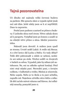 a101e0n0019320_Vanocni-kocourek_list1.jp