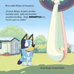 AJ01M0F0019715_Bluey-darkovy-bocx-knizka