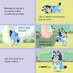 AJ01M0F0019715_Bluey-darkovy-bocx-knizka