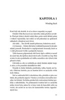 a101Z0F0015416_horici-divky-list2.jpg