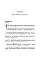 A101C0N0018239_Temny-vektor_1.jpg