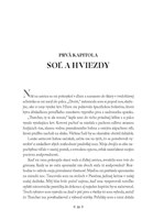 b102l1l0002420_povzneseni-list1.jpg