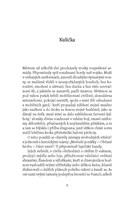 a10130F0014733_kulicka-a-jine-povidky-li