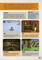 A101M0F0013656_minecraft-pruzkumnicka-pr