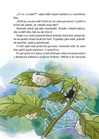 A101I0F0019625_seminek-list4.jpg