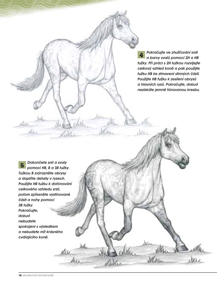 Jak Malovat Divoke Kone Albatrosmedia Cz