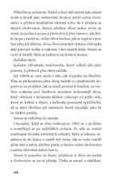 0016512928_strana_132.jpg