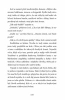 0023746026_strana_110.jpg