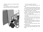 SK_TILskUkazkyPDFWWW\tigritim_internetov