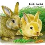 0027737122_mladatka-tit-201817-01-list-0