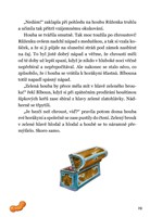 0029597528_s-blbounem-za-velkym-dobrodru