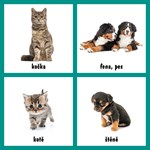 0029597885_moje-prvni-obrazkova-knizka-z