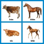 0029597885_moje-prvni-obrazkova-knizka-z