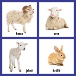 0029597885_moje-prvni-obrazkova-knizka-z