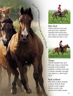 0029822105_kone-tit-203100-01-list-01.jp