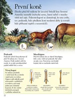 0029822105_kone-tit-203100-01-list-02.jp