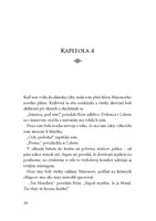 0029837352_strana_020.jpg